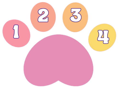 Picture of numbers over corresponding paw beans